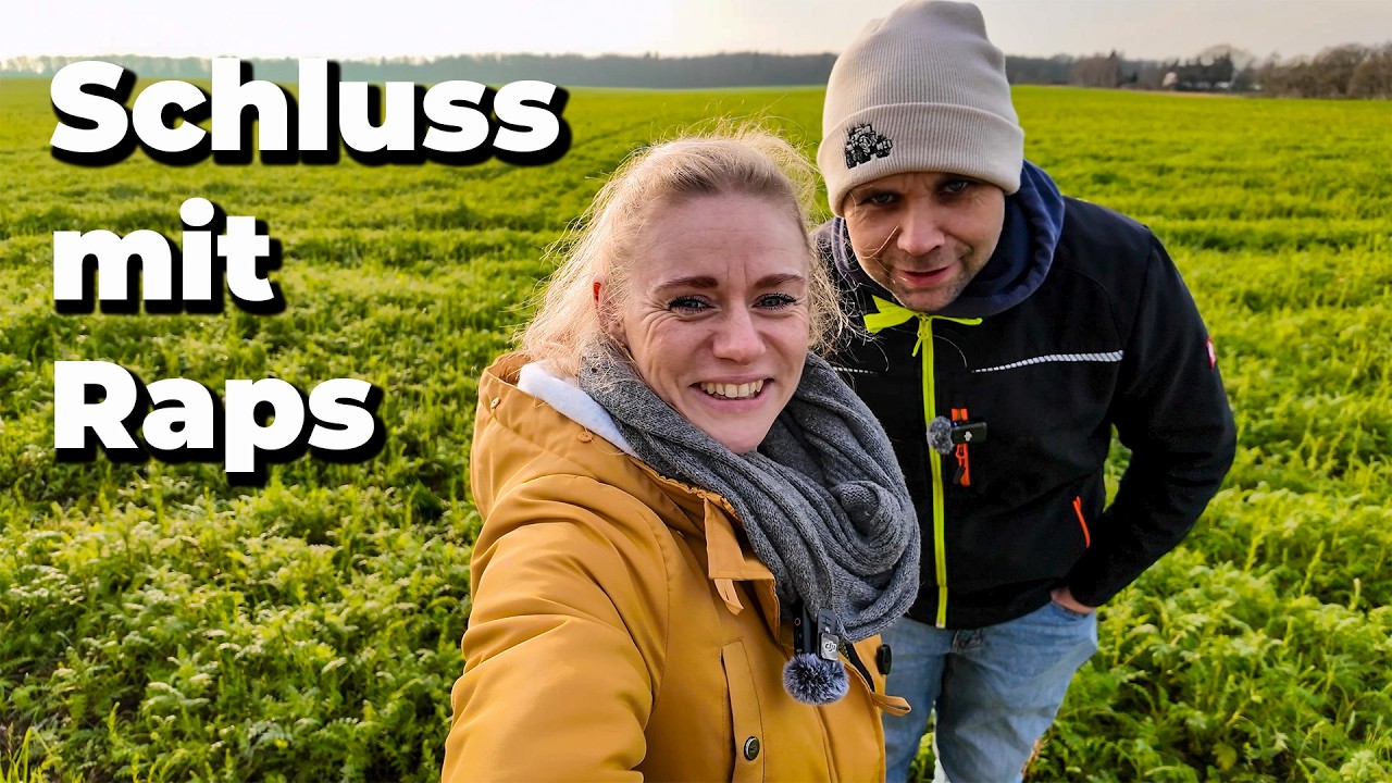 AKF #10 2025 Schluss mit Raps!. Zwischenfrucht zu spät gesät?