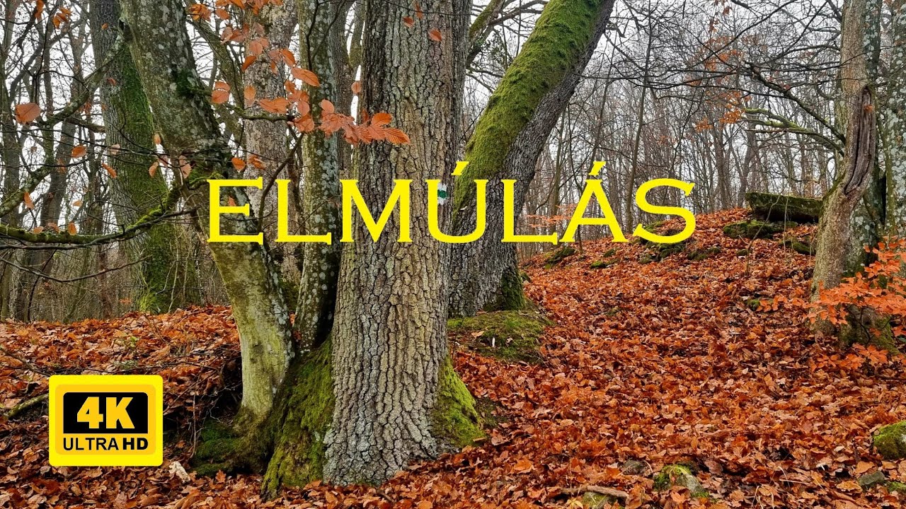 Elmúlás