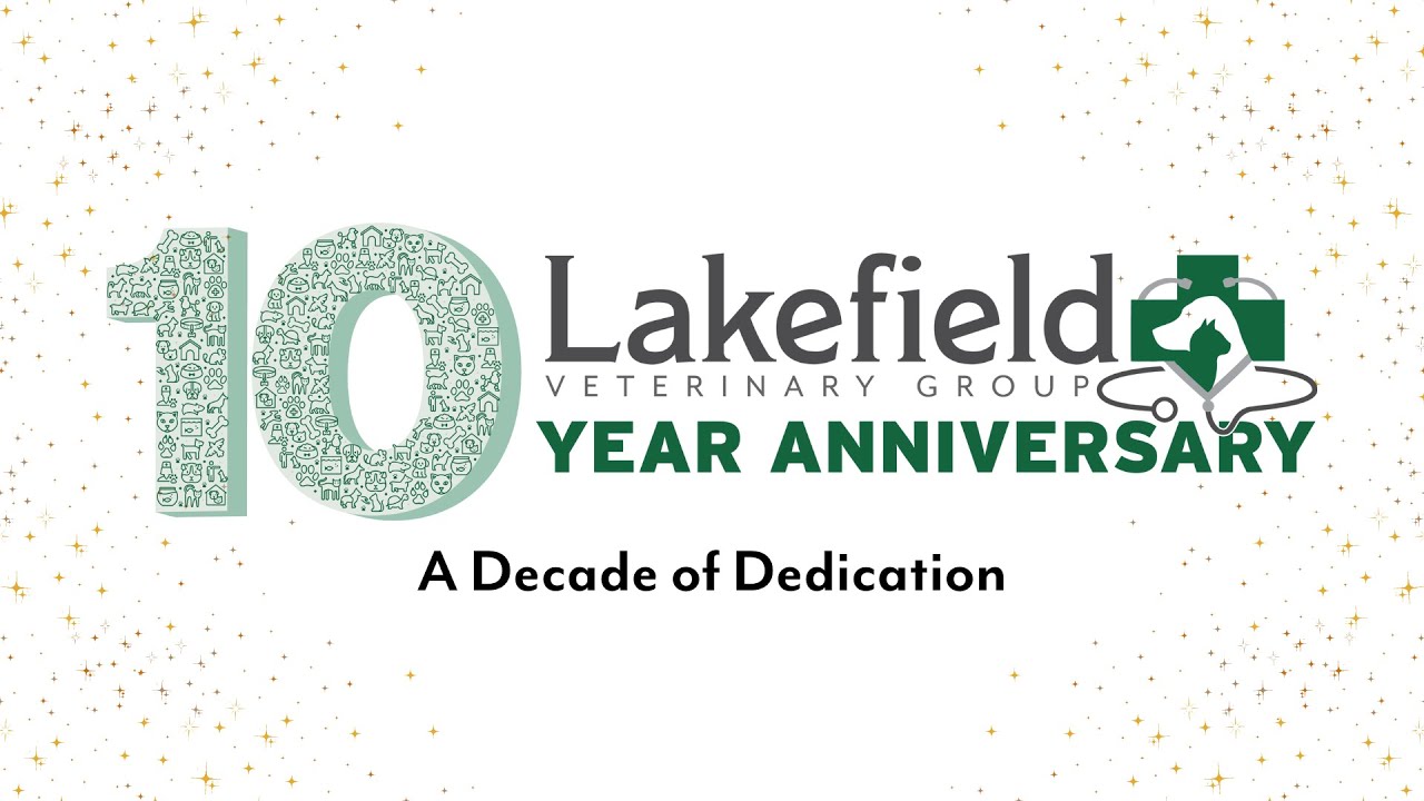 A Decade of Dedication: Celebrating Lakefield Veterinary Group's 10-Year Anniversary