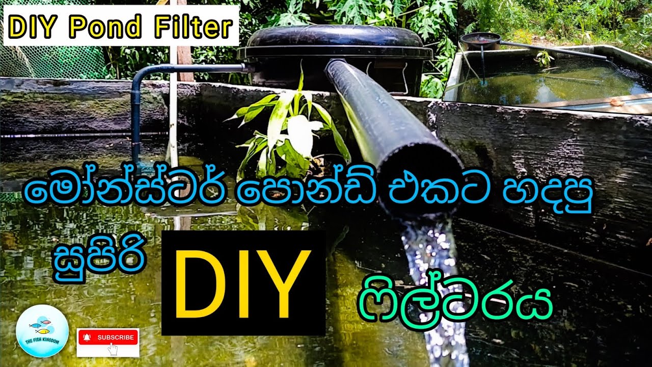 මෝන්ස්ටර් පොන්ඩ් එකට හදපු සුපිරි DIY ෆිල්ටරය/DIY Canister Filter