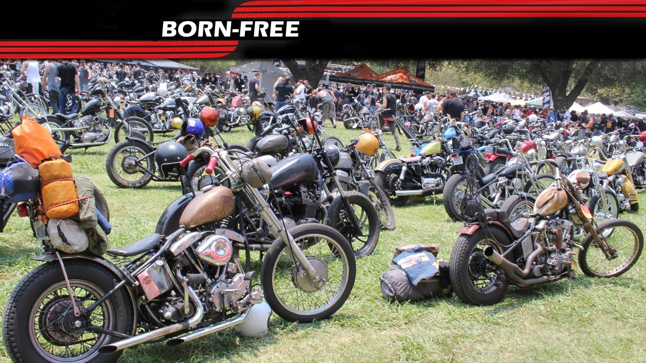 Born Free 5