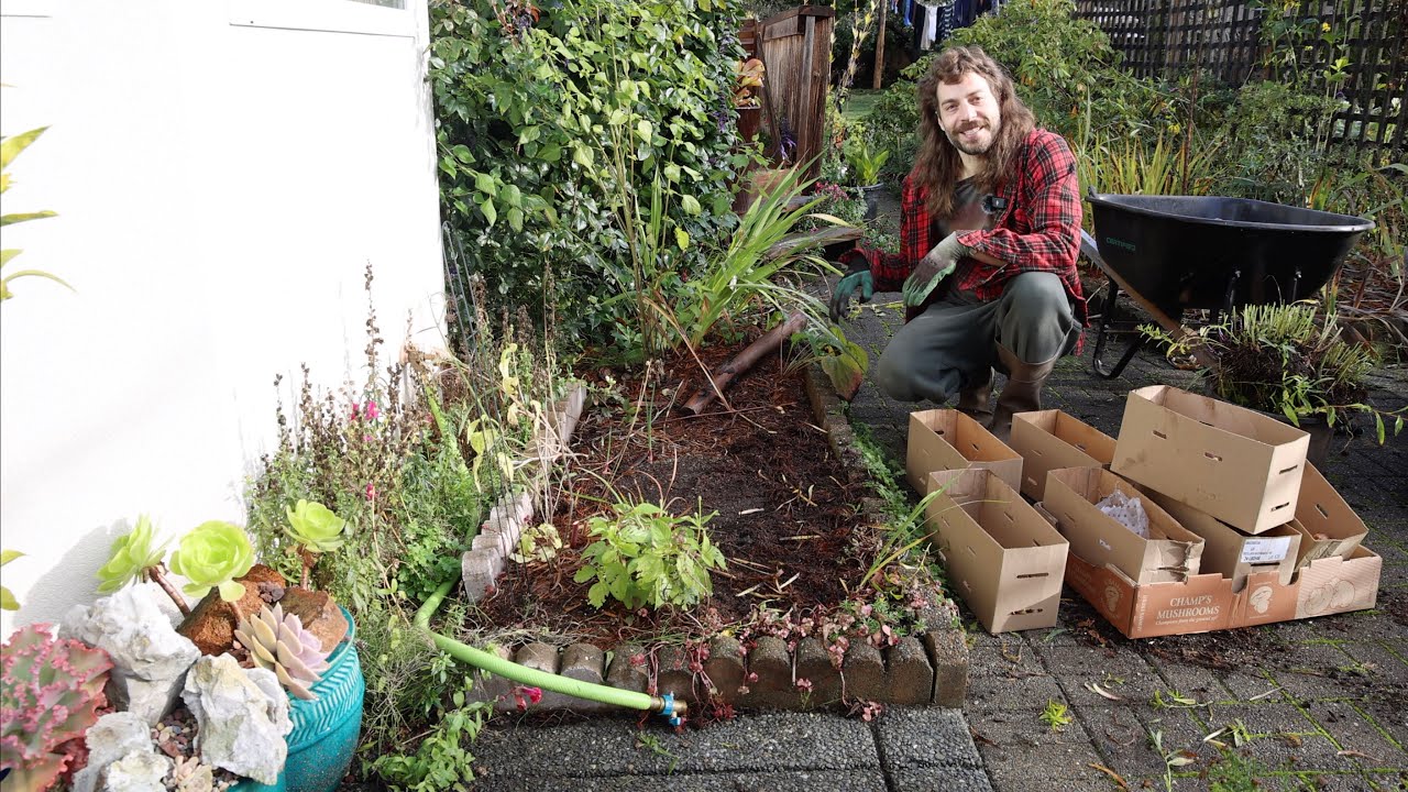 Hummingbird Garden Refresh! Adding Fritillaries, Camassias, Iris, & other Spring Bulbs