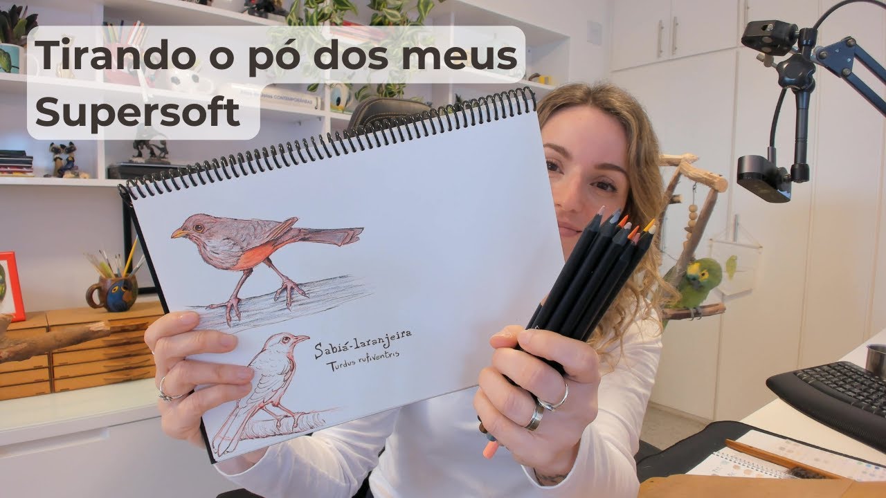 Desenhando e colorindo um Sabiá-laranjeira com lápis de cor | Ansiosa pela primavera