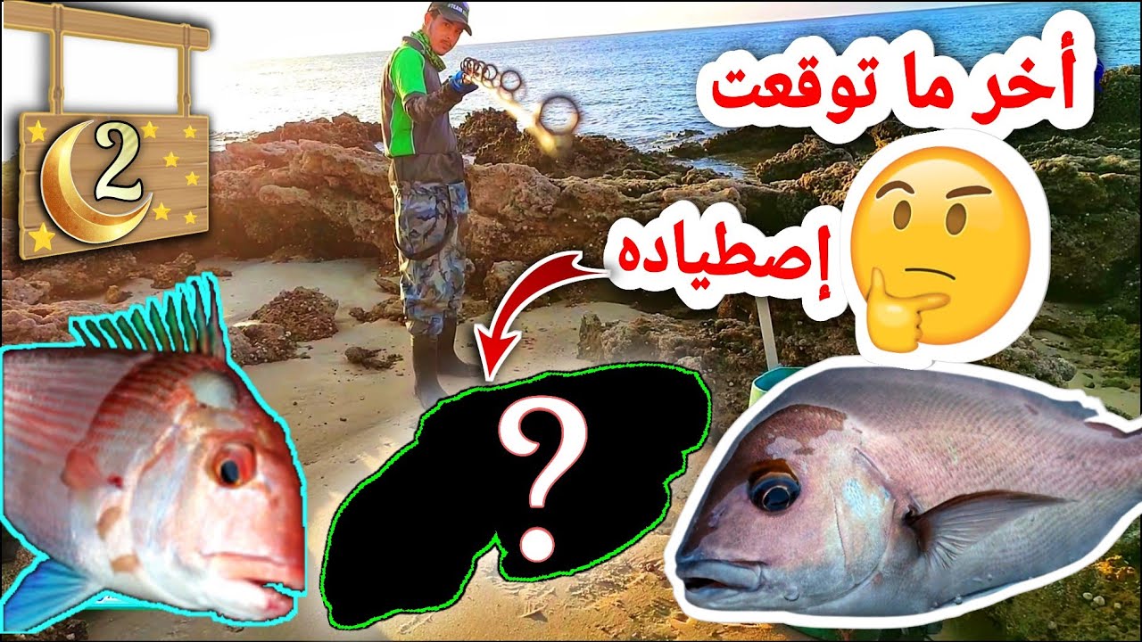 لم أتوقع أن أصطاد هدا النوع من السمك بتقنية السورف كاستينغ 