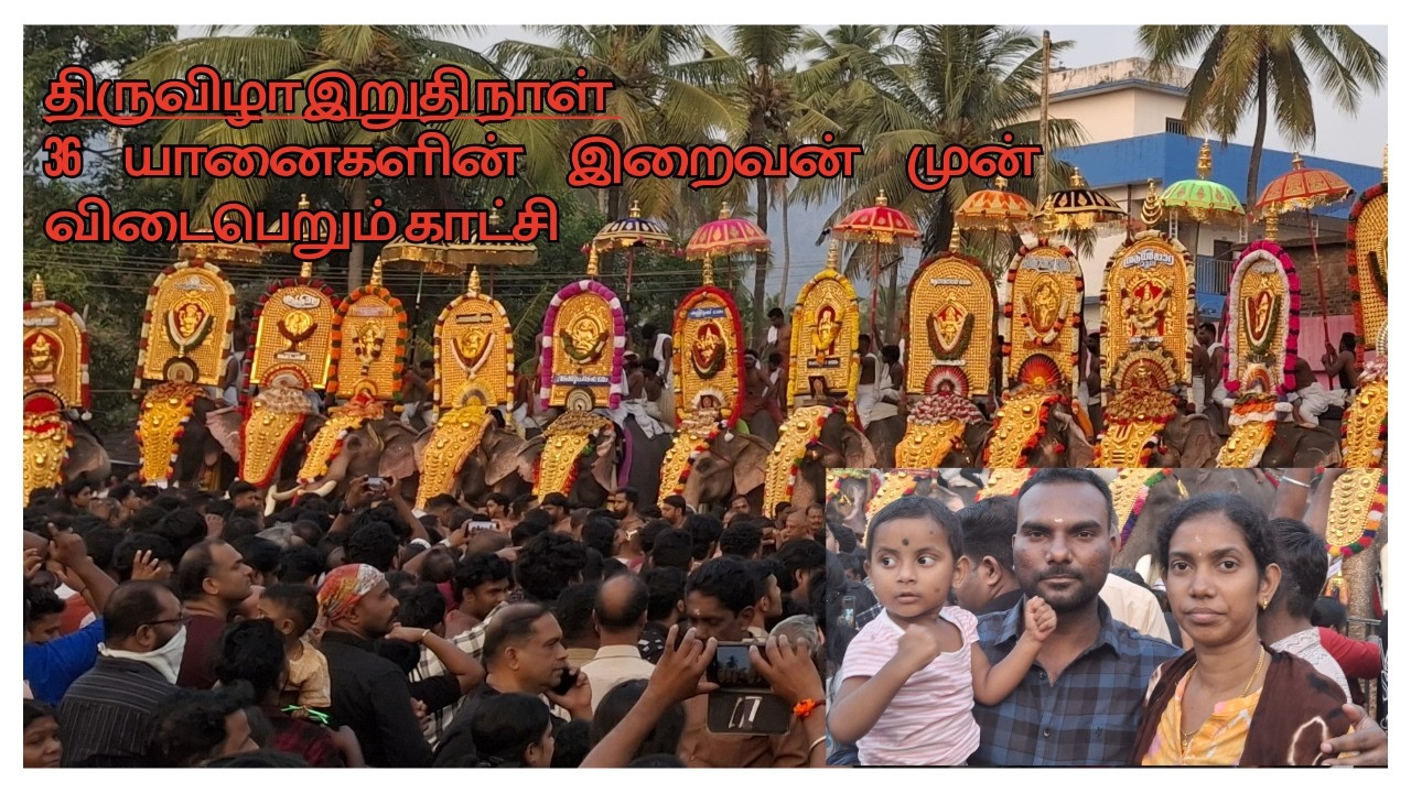 Day-03 _ திருவிழா இறுதி நாள் – 36 யானைகளின் இறைவன் முன் விடைபெறும் காட்சி