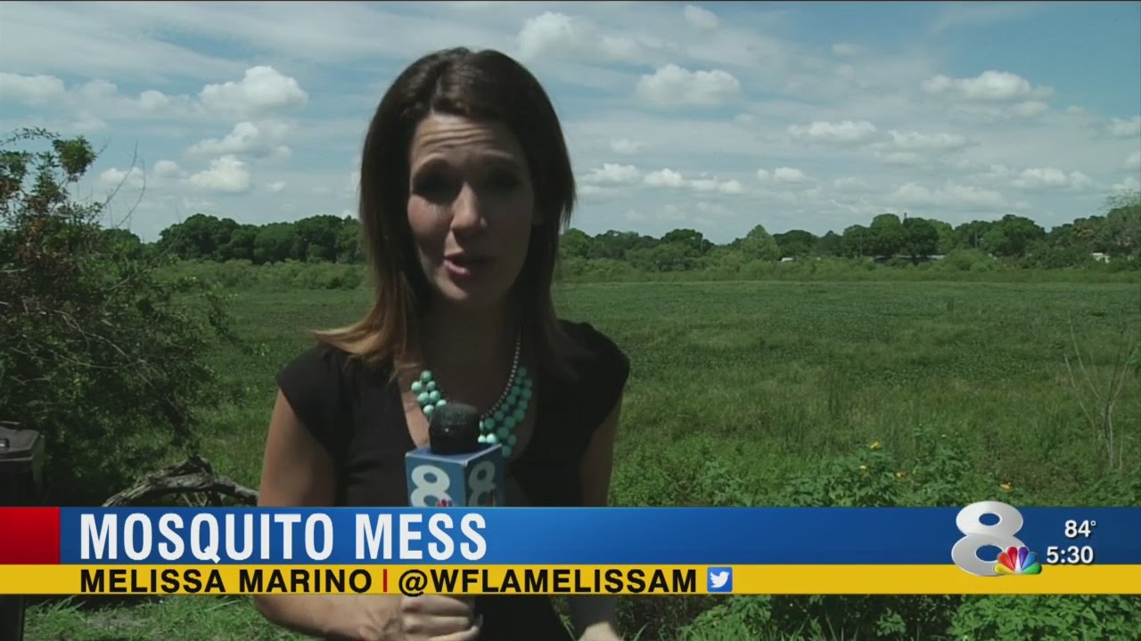 Mulberry residents fed up with dried up lake