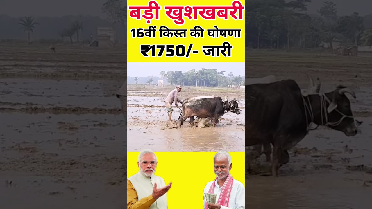 CM Kisan Kalyan Yojana 16th Installment Update #CMMohanYadav