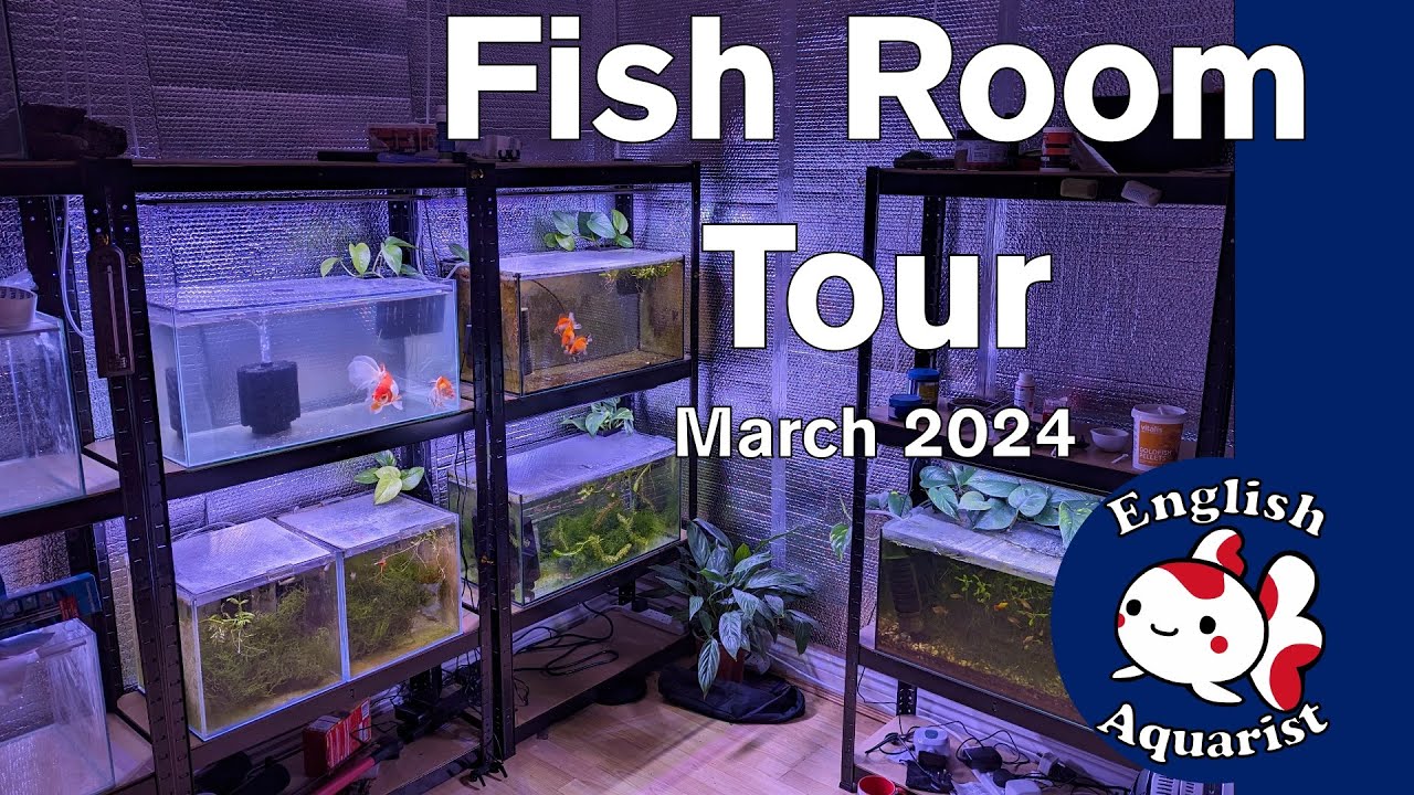 Fish Room Tour March 2024