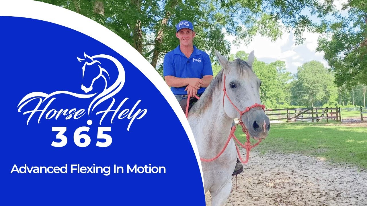 Углублённая работа над гибкостью тела в движении | Помощь при работе с лошадьми - Майкл Гаскон