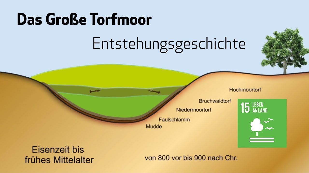 Die Entstehungsgeschichte des Gro&szlig;en Torfmoors