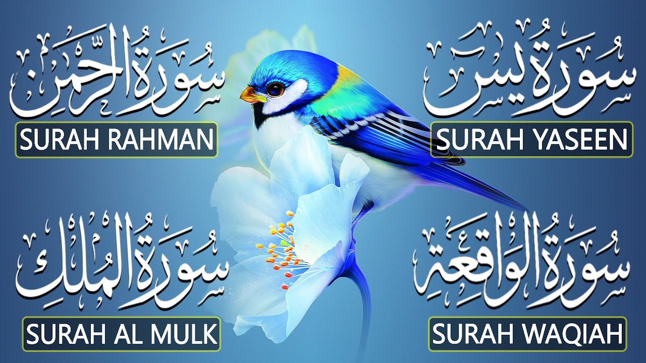 Most Beautiful Surah Yaseen (Yasin) | Surah Rahman | Surah Waqiah | Surah Mulk |