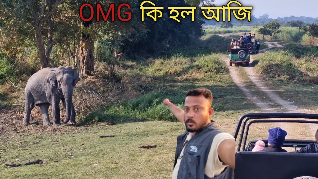Kaziranga Jeep Safari | Kahora Central range | Kaziranga National Park 