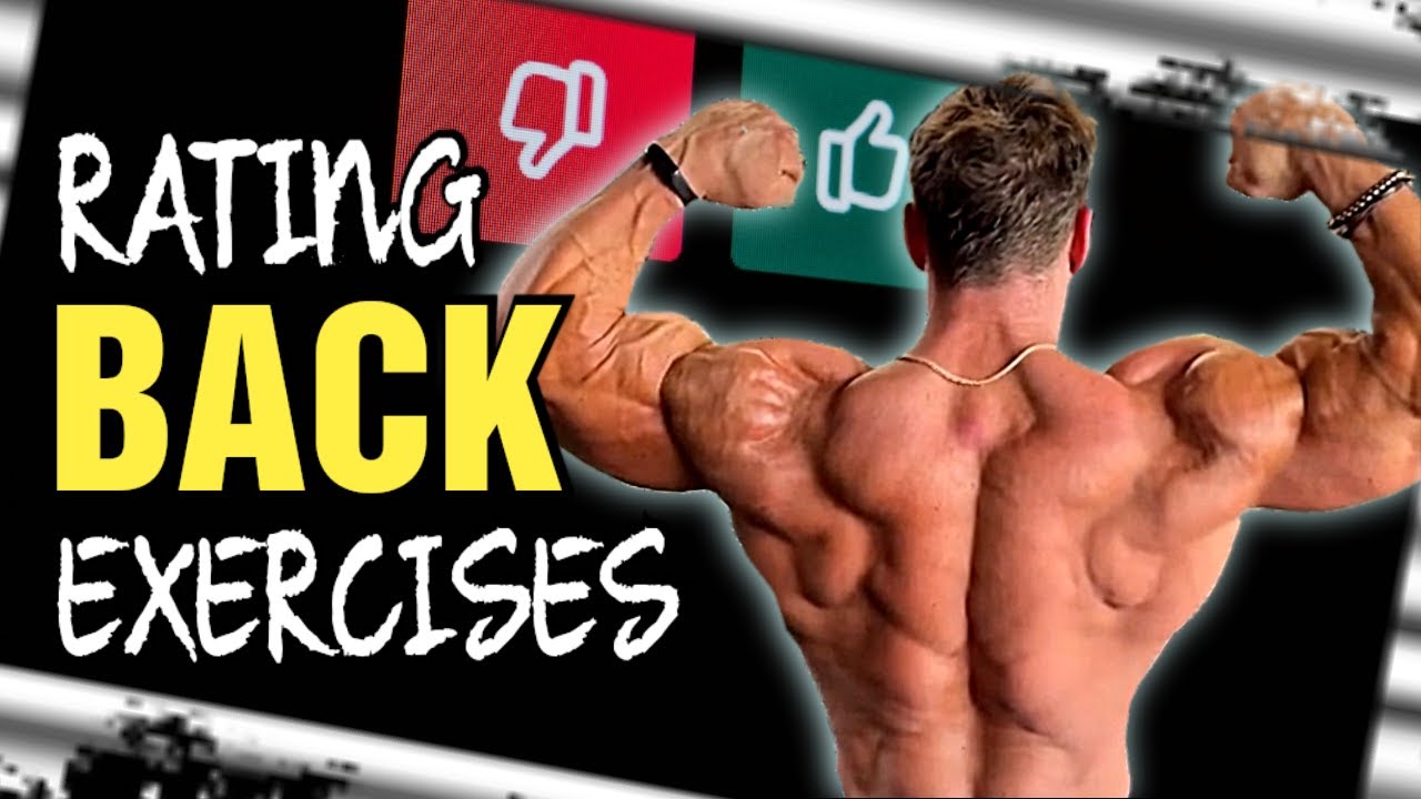 Back Exercises Rated