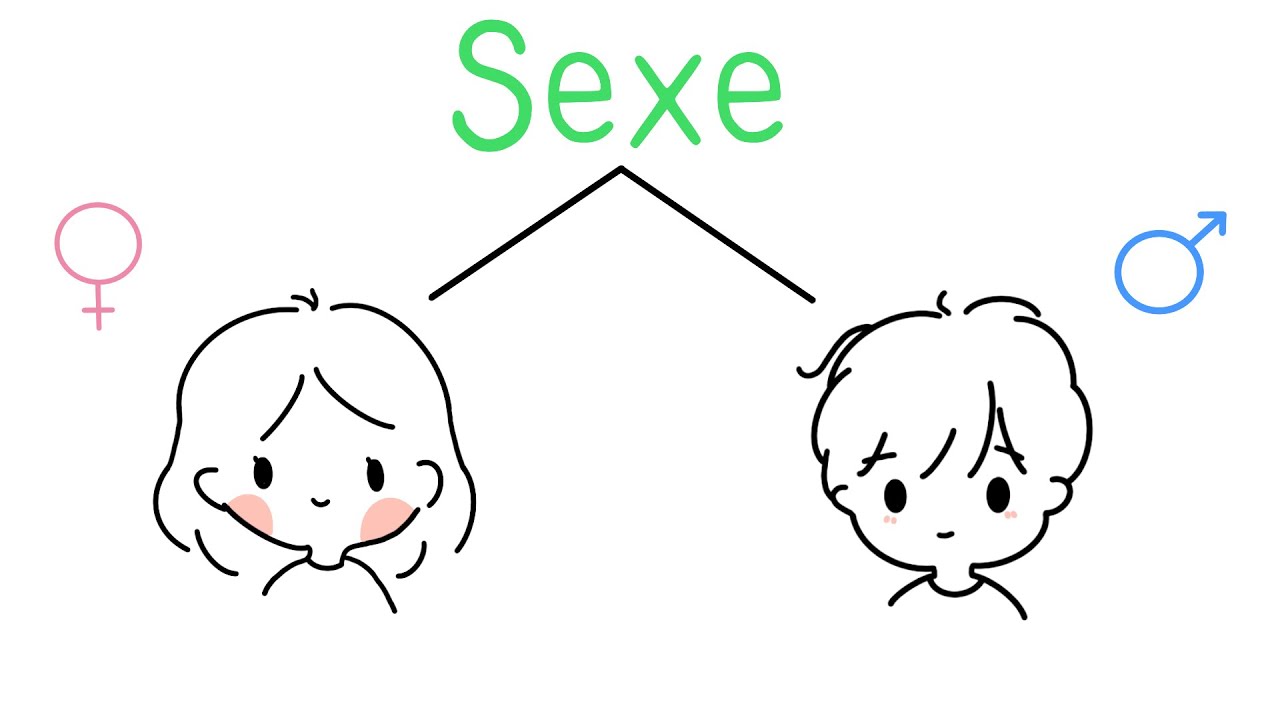 Episode I - La socialisation genrée