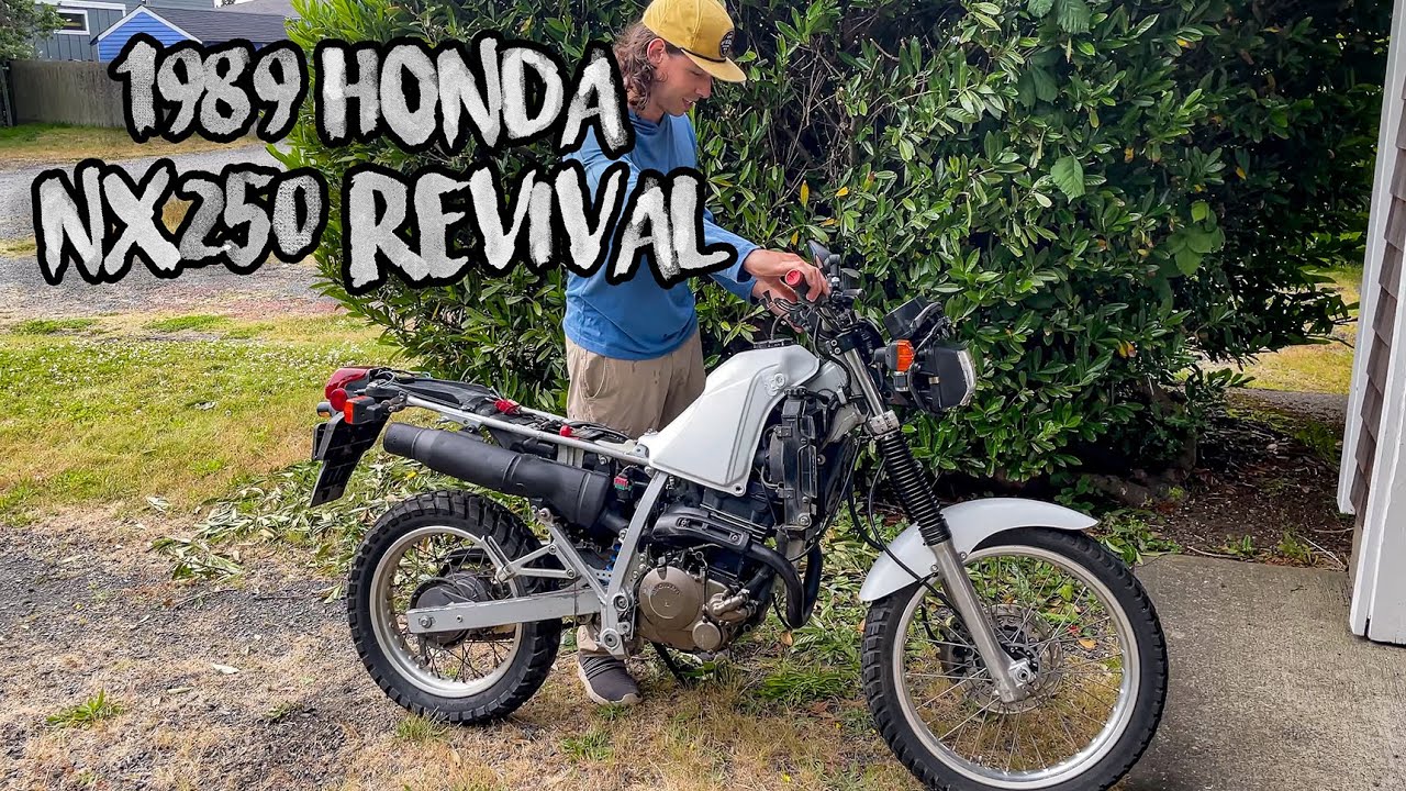 Reviving a 1989 Honda NX250 - Clutch and Carburetor Work