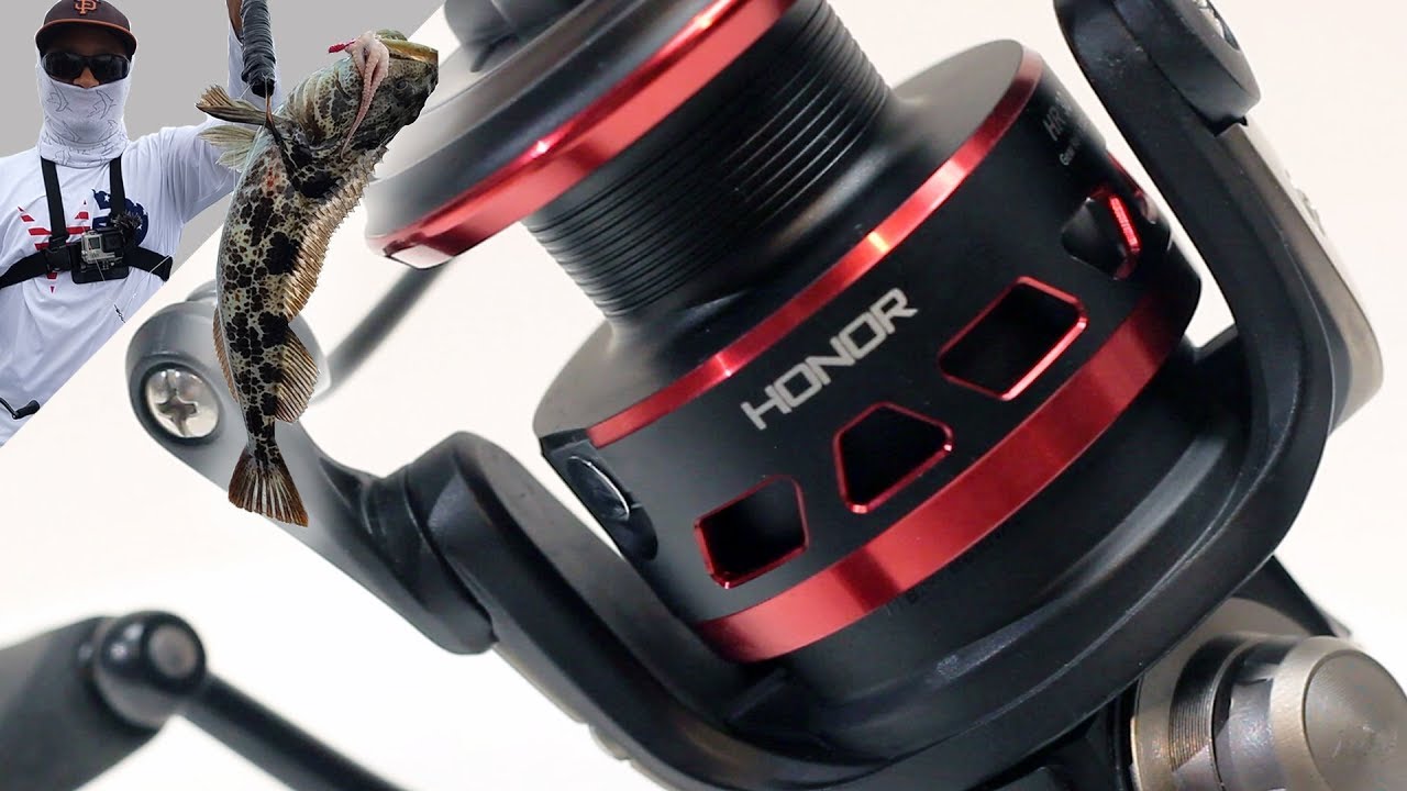 I Shouldn't Love This Reel (but i do!) | Piscifun Honor 6 Month Comprehensive Review