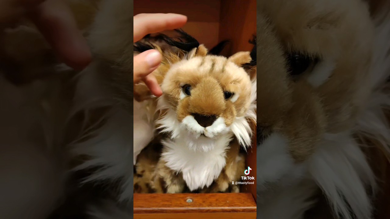 Zoo Shop 🐻🐯🦁🦓✨#zoo #zooshop #tiger #lion #safari #flamengo #pet #animal #plush #plushtoys