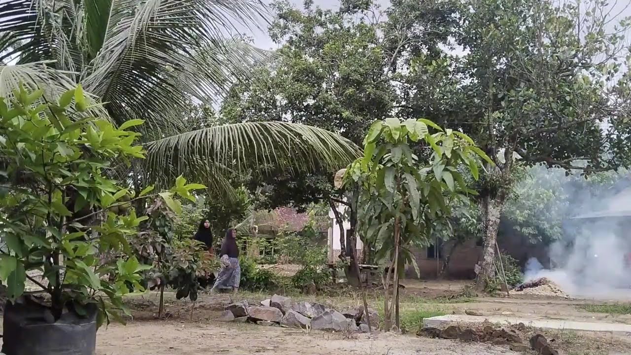 Kumpulan Lagu Lawas Indonesia Nostalgia Paling Banyak Dicari Bikin Hati Terharu