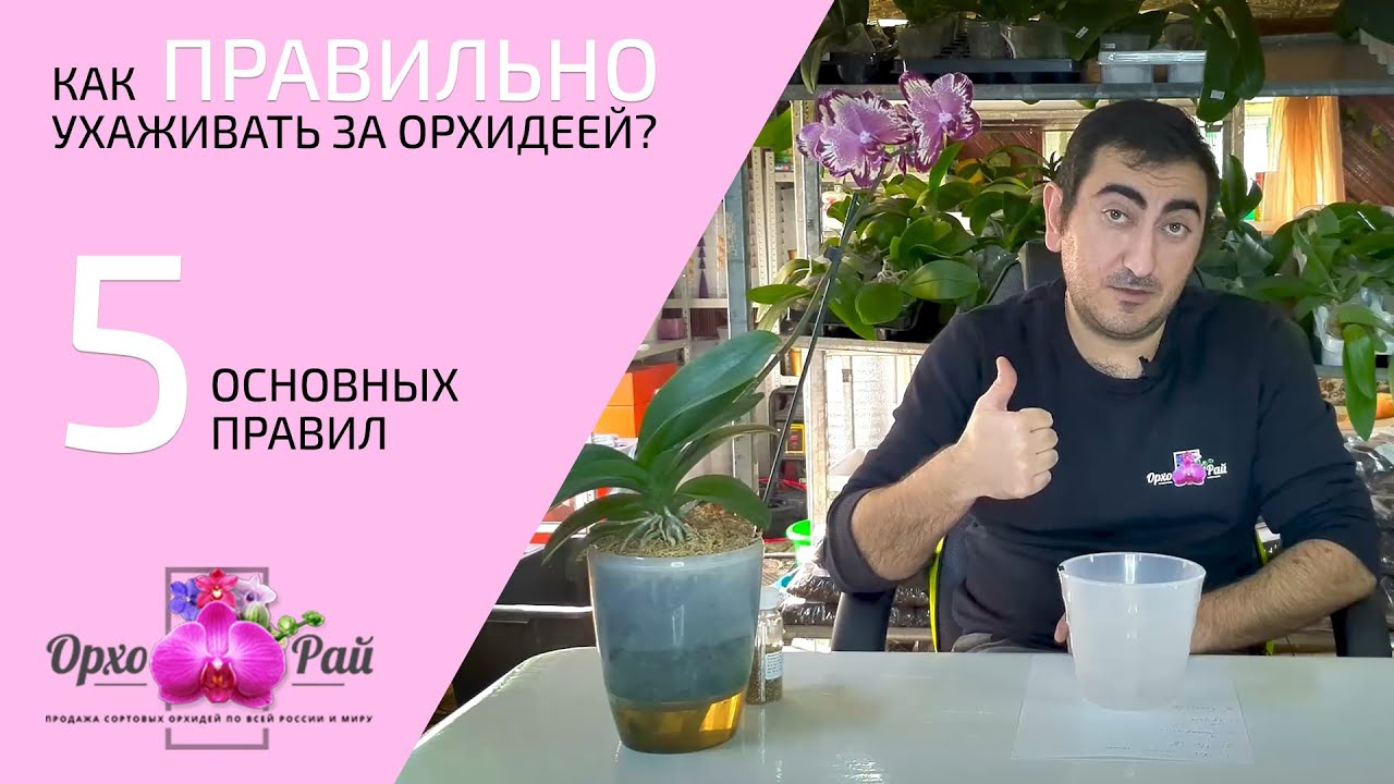 Как ПРАВИЛЬНО ухаживать за орхидеей? | 5 основных правил!