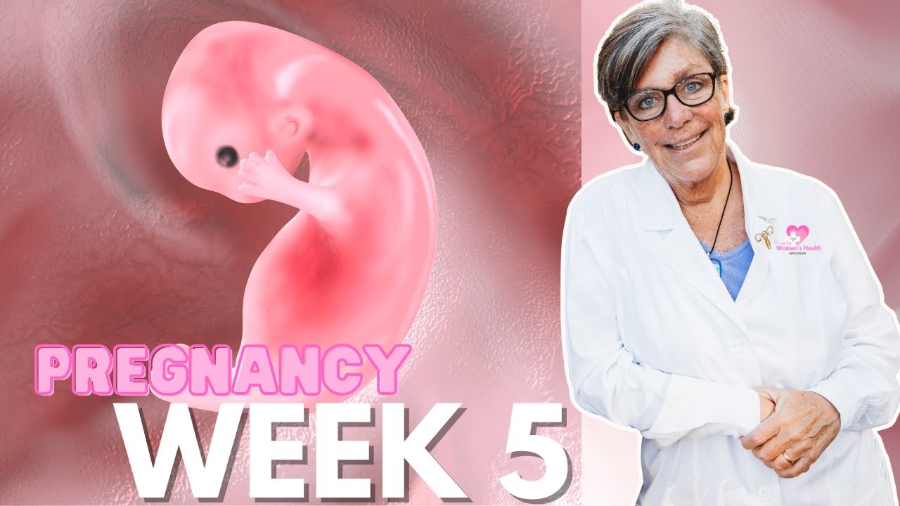 Pregnancy: Week 5… What Can I Expect?