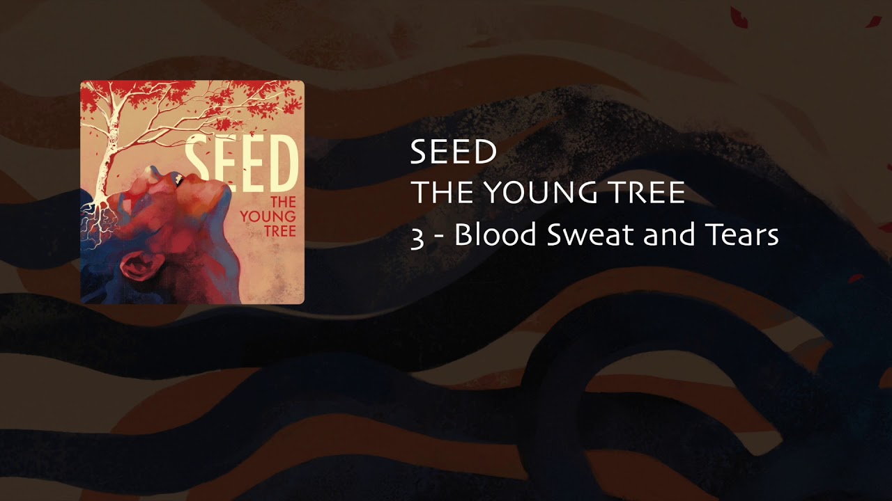 The Young Tree - Blood Sweat and Tears