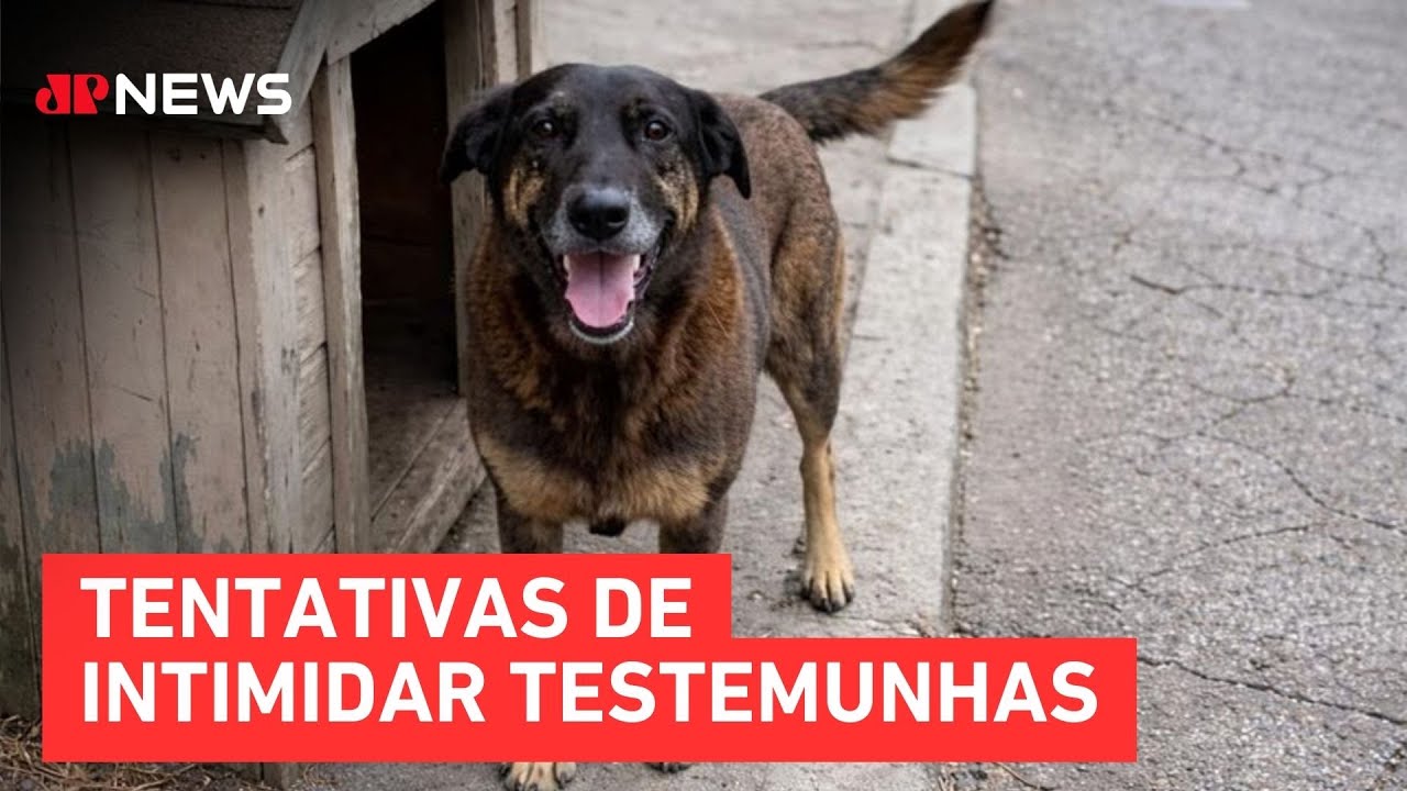 Caso Cachorro Orelha: Familiares de adolescentes são indiciados por coação