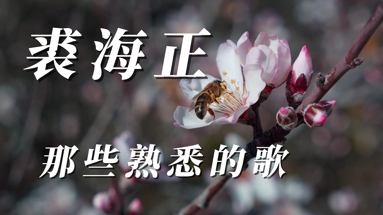 （裘海正）那些熟悉的歌（朋友喜歡嗎）謝謝🌱🪴🎍🪵