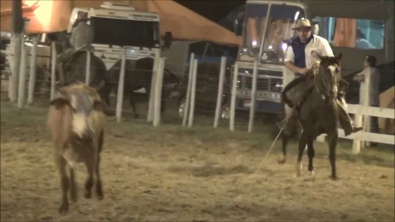 LAÇO COMPRIDO:RODEIO CTG QUERÊNCIA PRAIANA 2013 (HD)