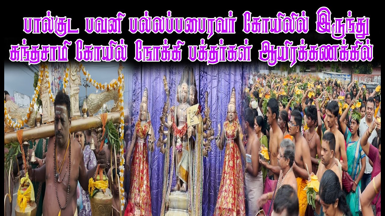 பால்குட பவனி பல்லப்பபைரவர் கோயிலில் இருந்து கந்தசாமி கோயில் நோக்கி பக்தர்கள் ஆயிரக்கணக்கில்