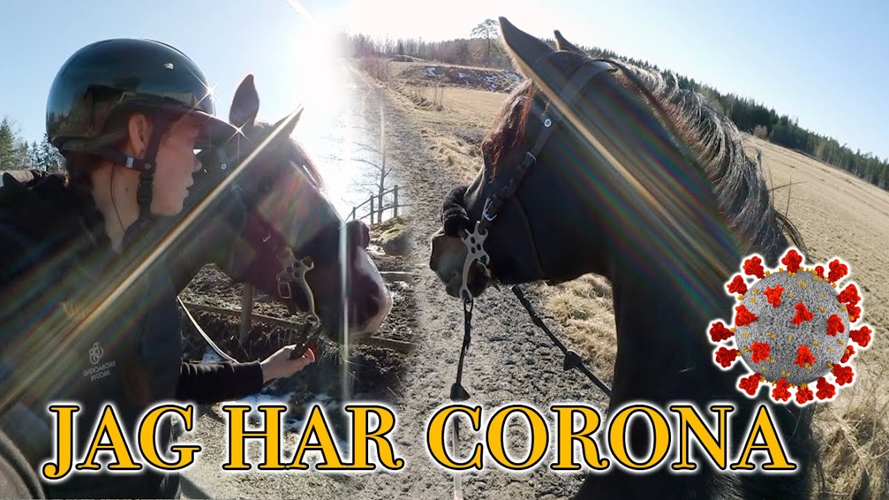STALLVLOGG MED CORONA