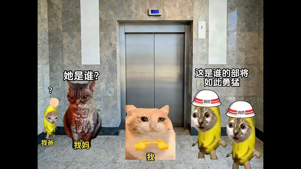 猫meme的日常-做电梯不能乱跳不是没有原因的 #猫meme  #猫meme小剧场 #猫meme剧场 #内容过于真实 #搞笑