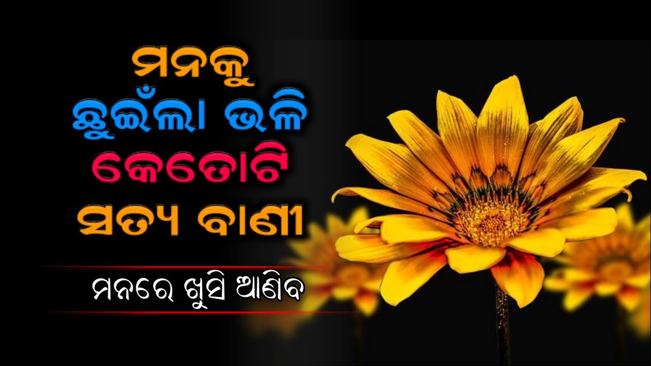 ଓଡ଼ିଆ ନିତିବାଣୀ || Odia Nitibani || Odia Best Motivational Video || @OMQOdia