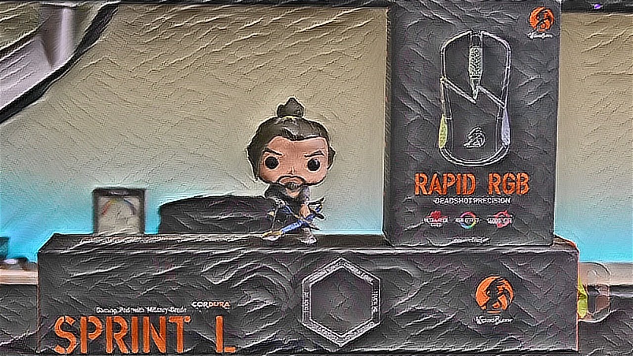 Wicked Bunny Rapid RGB Mouse (3389 Sensor / ZF Switches) + Sprint L Mouse Pad (Cordura) Review!