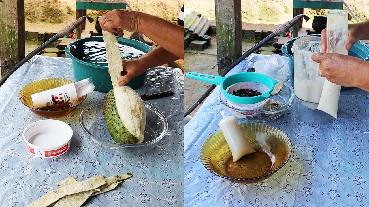 POLPA DE GRAVIOLA SEM AGUA E SEM QUEBRAR A SEMENTE