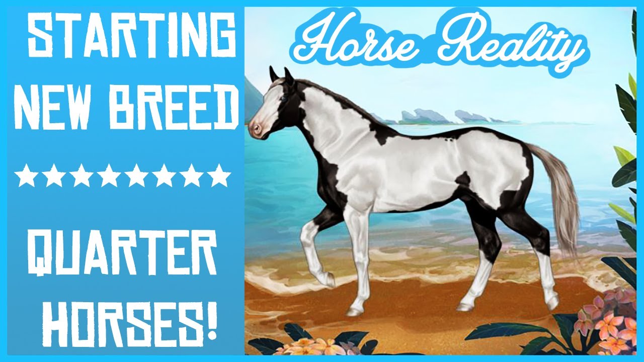 Horse Reality ⭐ Starting Quarter Horses! ⭐ New FOAL!
