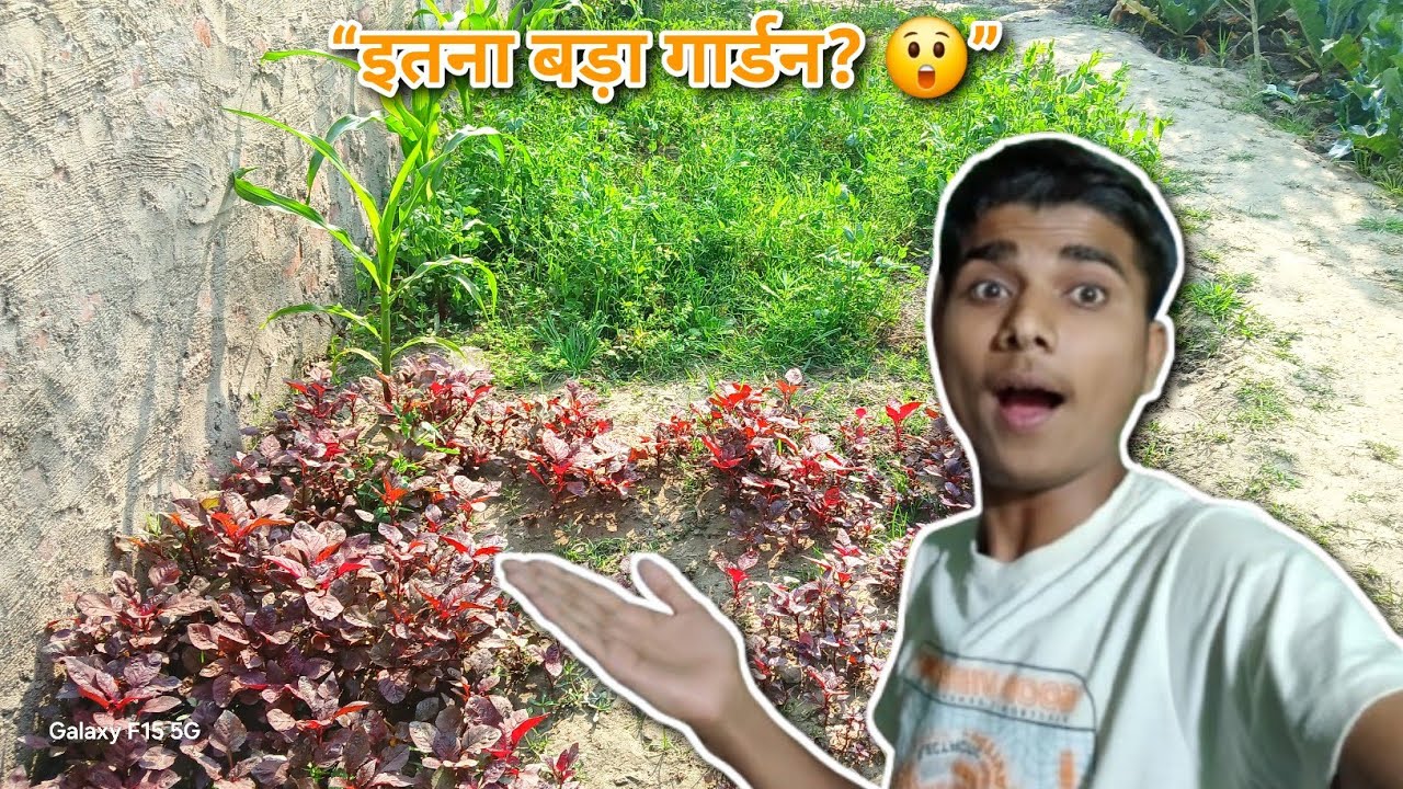 Gaon Ka Real Life 🌾 | Aaj Khet Me Kaam Ka Experience 😍 || AYUSH KUMAR GUPTA VLOG 😍 