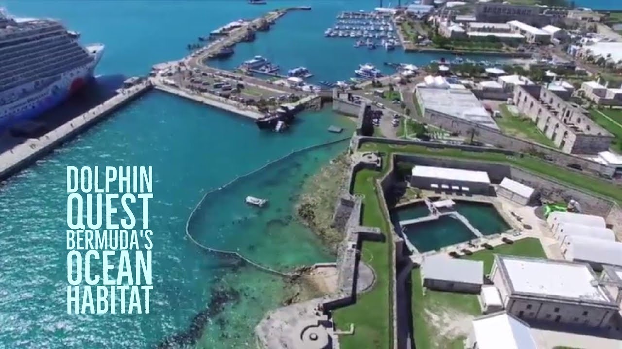 Dolphin Quest Bermuda - Ocean Habitat
