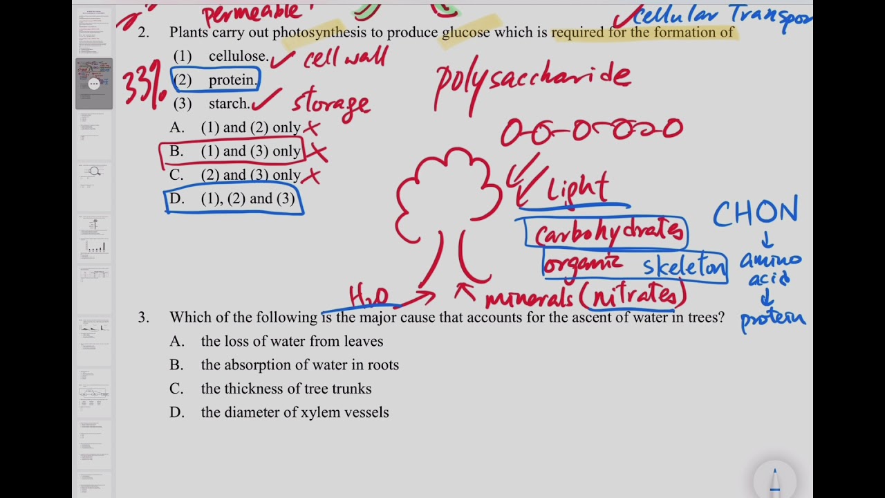 DSE Bio│HKDSE 2012 MC Q2│chemicals in life 生命的化學物│photosynthesis 光合作用│Faith Education {雙語Bilingual}