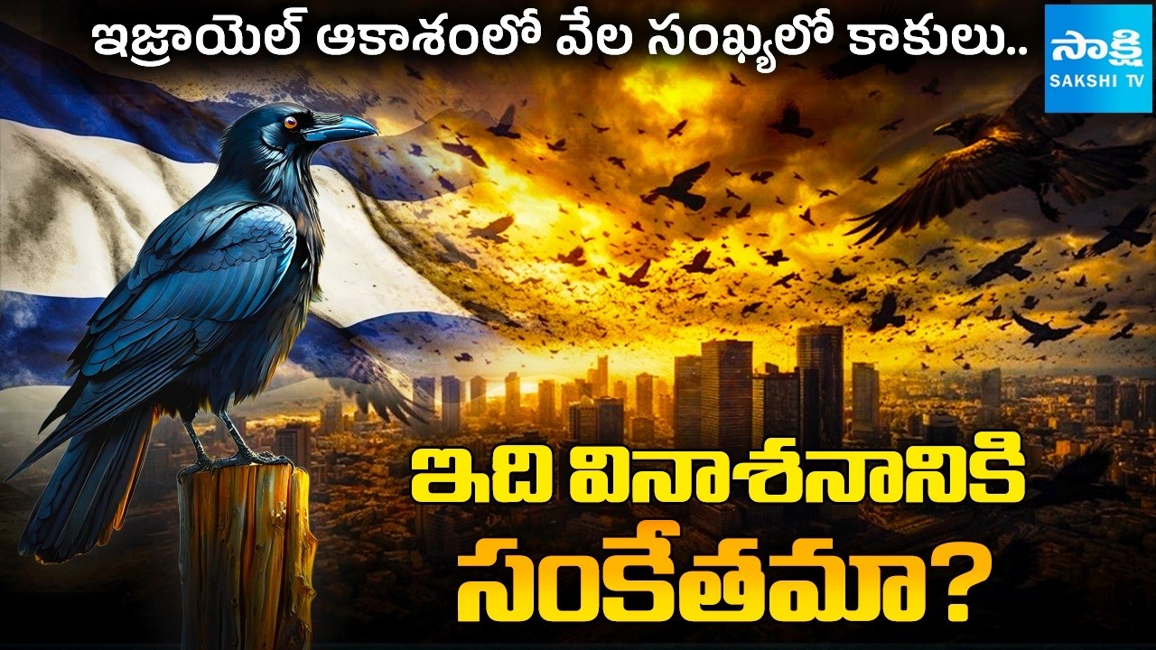 Thousands of Crows Over Tel Aviv! Bad Omen or Natural Phenomenon? Truth Explained
