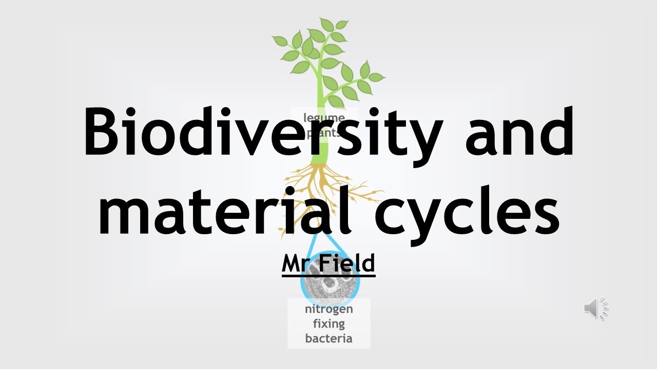 GCSE Biology 23 - Biodiversity and material cycles