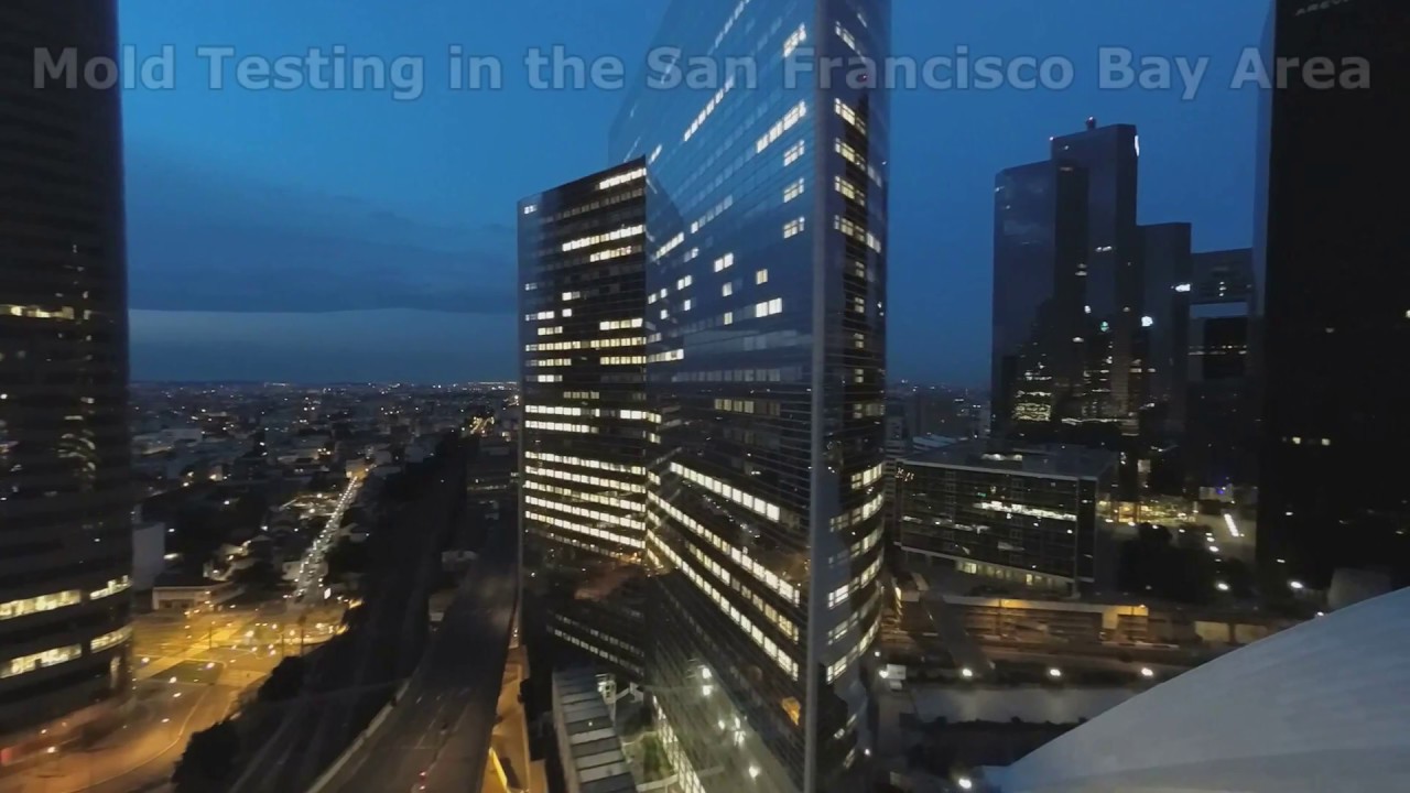 Mold Testing in the Bay Area CA