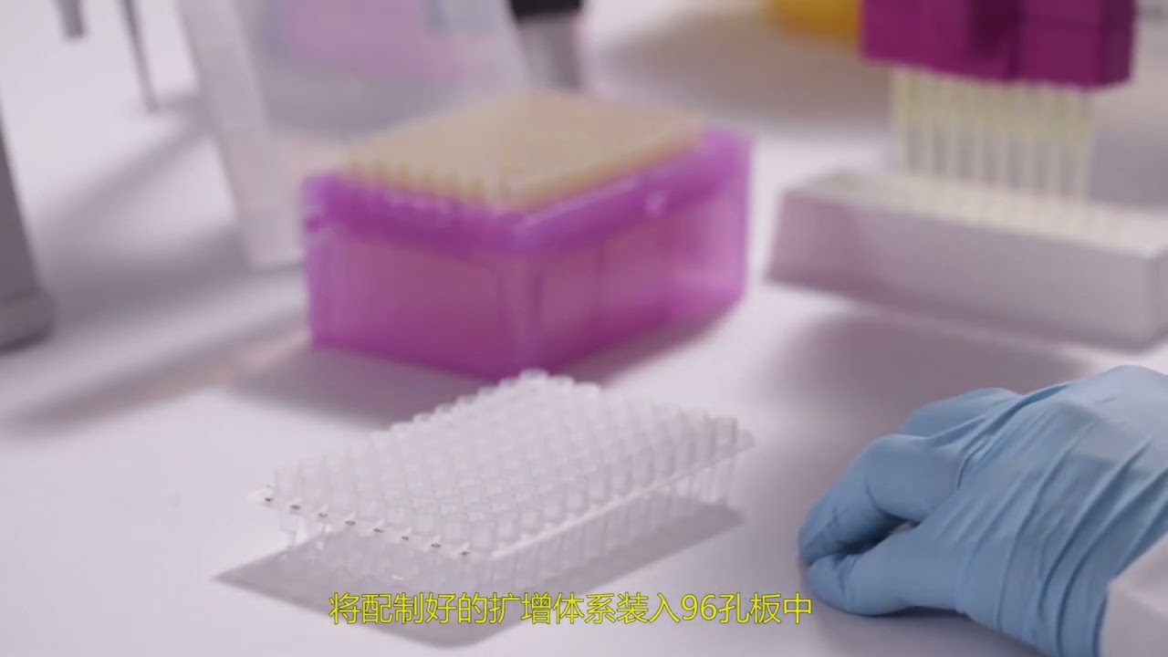 fastamp pcr 96