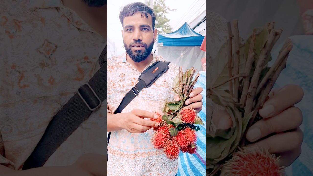 Rambutan Fruit Thailand, रामबूटन फ्रूट का टेस्ट कैसा है।