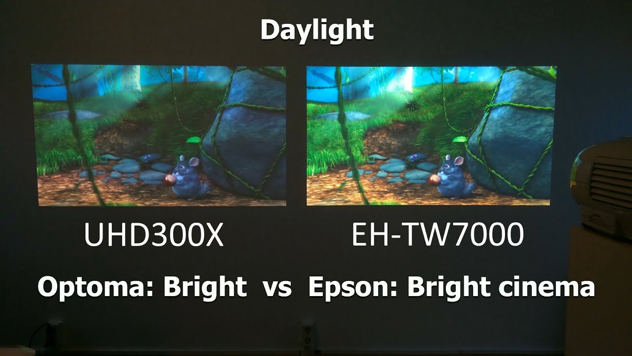 Optoma UHD300X vs Epson EH-TW7000