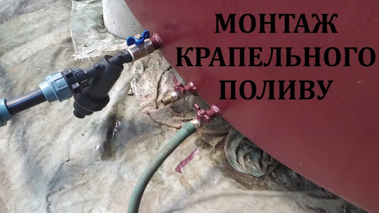 Монтаж крапельного поливу. Підживлення малини трав'яним настоєм.