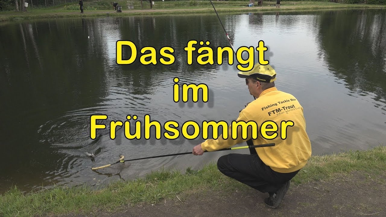 Das fängt im Frühsommer