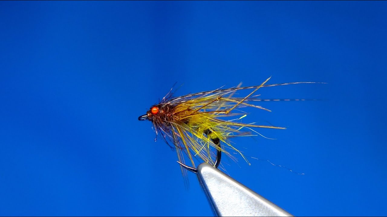 Tying a Bright Eyed Caddis Pupa by Davie McPhail