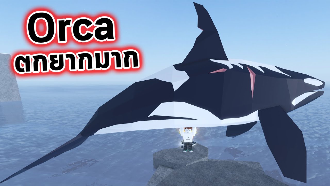 ตก Orca ฝูงวาฬออร์กา ตกยากมากต้องขับเรือไปตกไป Roblox Fisch