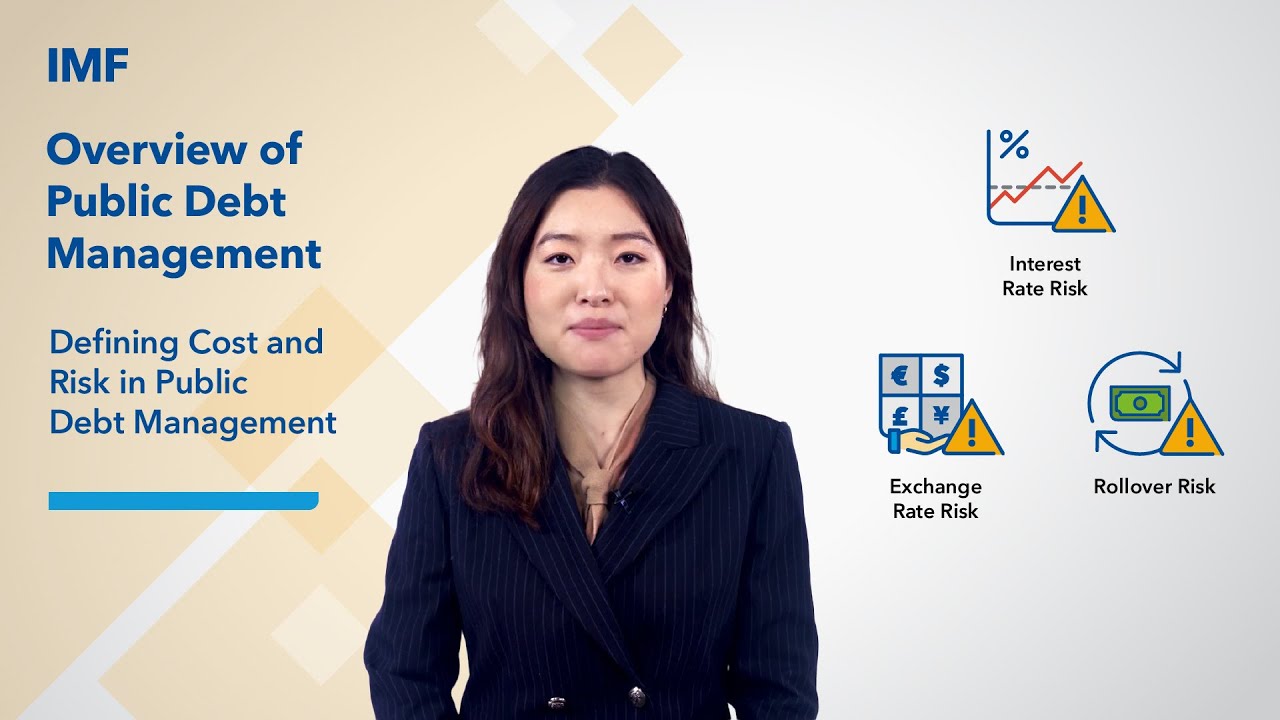 Defining cost and risk in public debt management