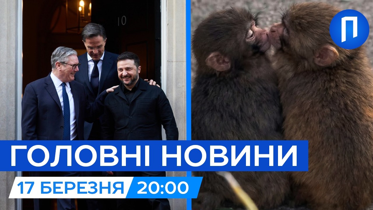 Деталі ВІЗИТУ Зеленського до Британії| У мавпеняти ПАНЧА з’явилася ПОДРУГА| Новини 17 березня